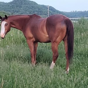 Meet your Posher, Jackie